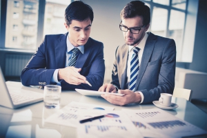 IT maintenance audit, Third party maintenance support for IBM, EMC, HP, Dell, NetApp